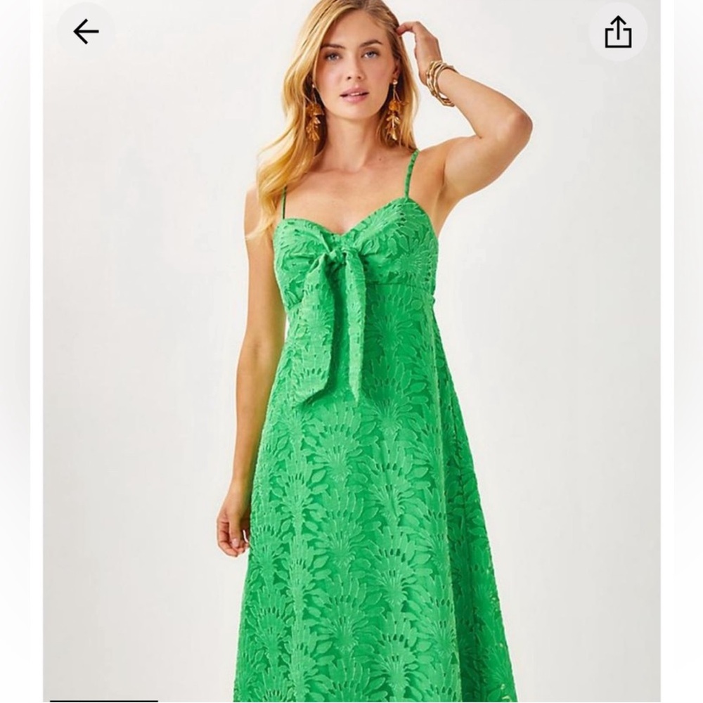 NWT Lilly Pulitzer Sarahlynne Maxi Dress - Picture 6 of 10
